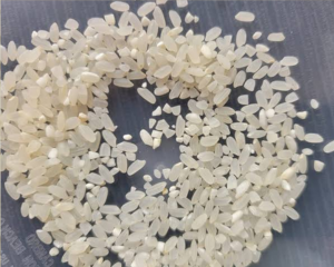 Myanmar White Rice 25% Broken